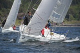 pocket battleship gbr7105n ss19 fri gjmc2903w